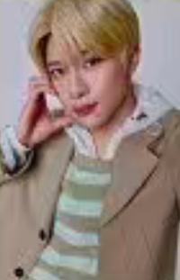 日巡随机卡1 ver.B