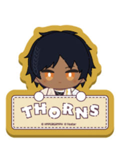 棘刺-amiami插画风姓名铭牌