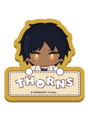 棘刺-amiami插画风姓名铭牌