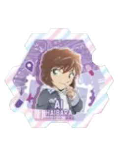 灰原哀冰箱贴-广博M28食玩系列