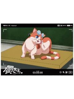 神乐特典相卡-3年Z班银八老师快闪