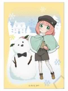 阿尼亚·福杰相卡-JF2026玩雪系列