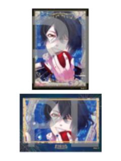 基诺D赏相卡-zeroCD封面系列