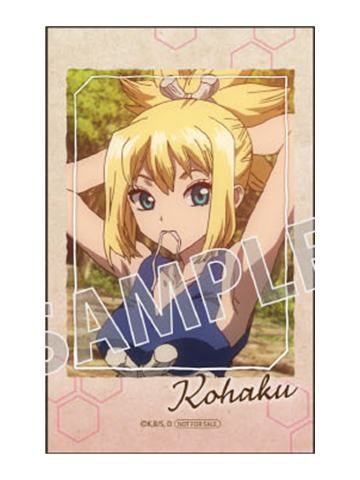 琥珀拍立得-A店积分兑换系列