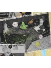 2026挂历套装 禹