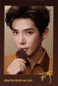 瑞士莲代言特醇卡 ver.A