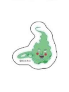 小酒窝1-ShoPro快闪秋冬系列贴纸