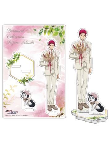 赤司征十郎立牌-南家糖植物图鉴赤司ver.
