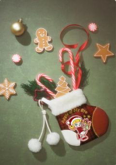 雪绒梦境-资料图