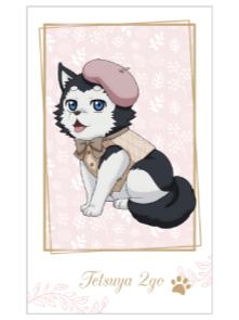 哲也二号拍立得-南家糖植物图鉴赤司ver.