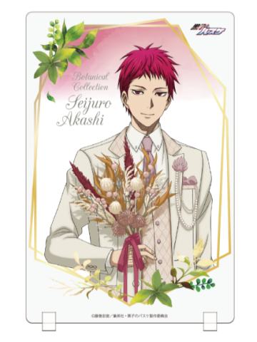 赤司征十郎S赏立牌-南家糖植物图鉴赤司ver.