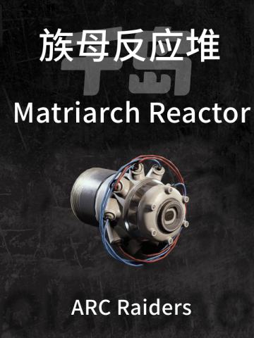 族母反应堆