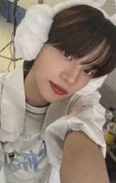 dingo油管直播卡1