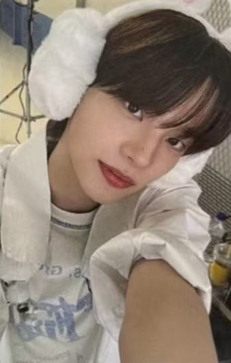 dingo油管直播卡1