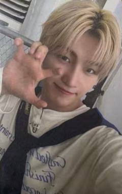 dingo油管直播卡5