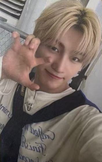 dingo油管直播卡5