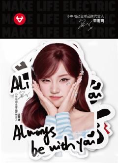 小牛电动代言贴纸