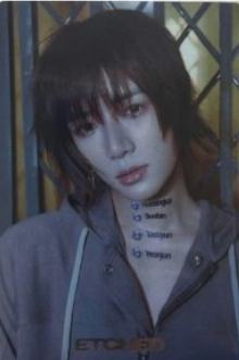 万代食玩卡3 ver.A