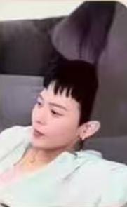 会员礼月历卡 ver.8