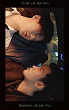 相卡盲盒常规款 ver.14