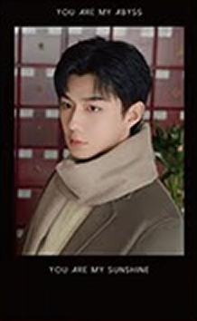 相卡盲盒常规款 ver.2