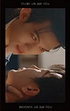 相卡盲盒常规款 ver.11