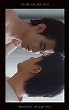 相卡盲盒常规款 ver.13