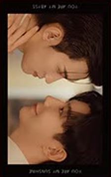 相卡盲盒常规款 ver.9