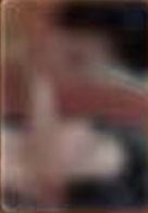 A款礼盒随机卡 ver.8