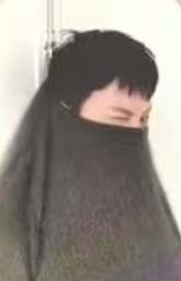 一期会员礼固配 ver.4