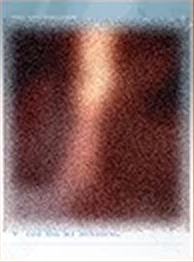 撕拉拍立得盲盒常规款 ver.2