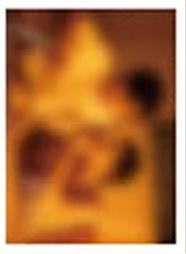 撕拉片A套装撕拉小卡 ver.1