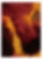 撕拉片A套装撕拉小卡 ver.3