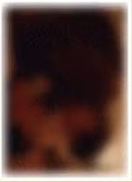 撕拉片B套装撕拉小卡 ver.4