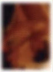 撕拉片A套装撕拉小卡 ver.2