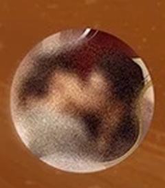 徽章盲盒大隐藏款 ver.3