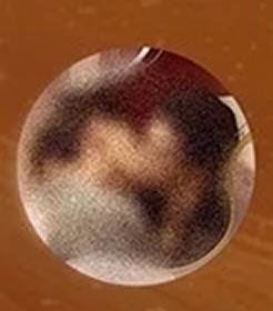 徽章盲盒大隐藏款 ver.3