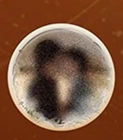 徽章盲盒小隐藏款 ver.3