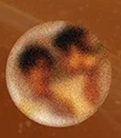 徽章盲盒大隐藏款 ver.2