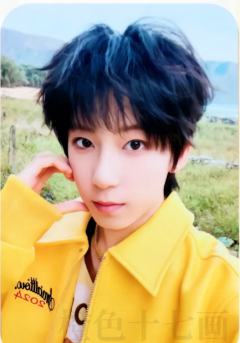 同行单人款小卡 博文ver.C