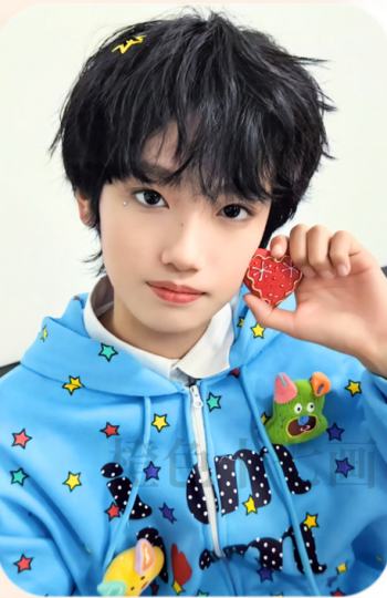TF家族五代-1