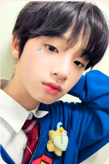TF家族五代-2
