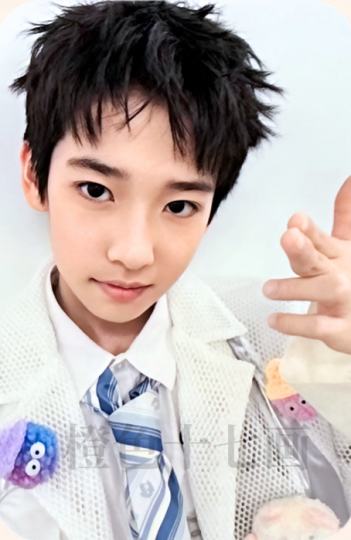 TF家族五代-2