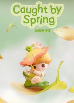 被春天接住