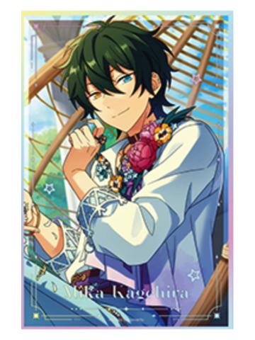 影片美伽B2色纸-限定招募系列第一弹