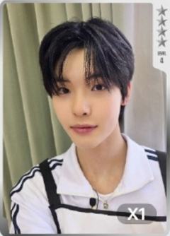 TATA 星光卡 四星ver.