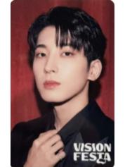 vision festa入场卡3.0 圆