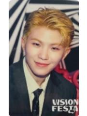 vision festa入场卡3.0 勋