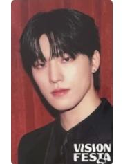 vision festa入场卡3.0 灿