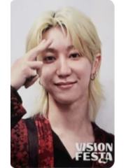 vision festa入场卡3.0 八